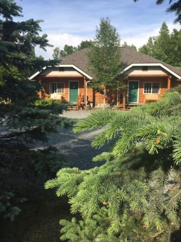 Denali Fireside Cabin&Suites Talkeetna Buitenkant foto